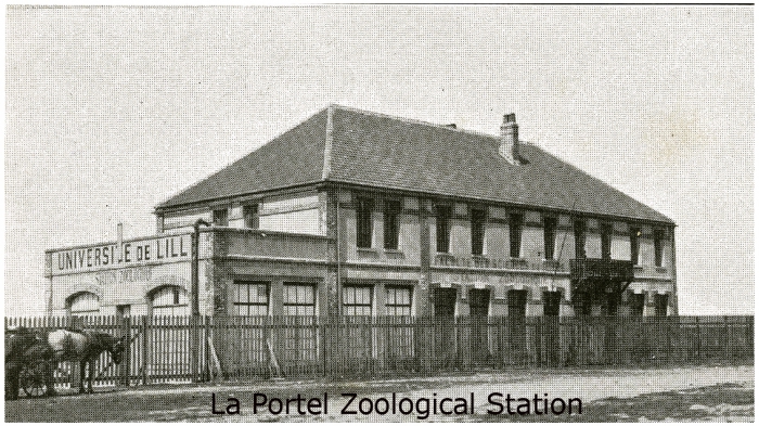 Universit� de Lille- Portel Station in 1908