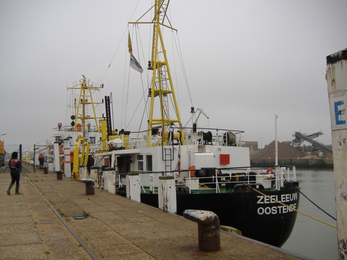 RV Zeeleeuw