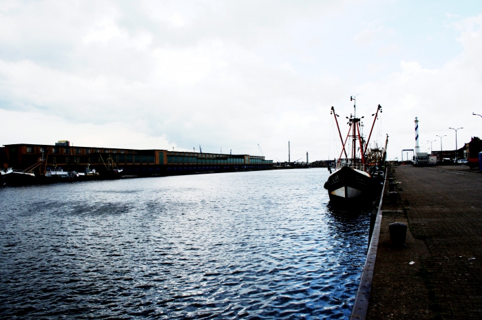 Haven Haven