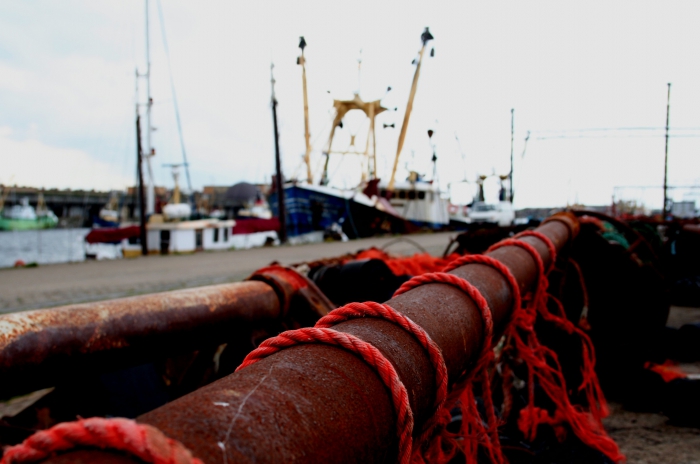 Haven Haven