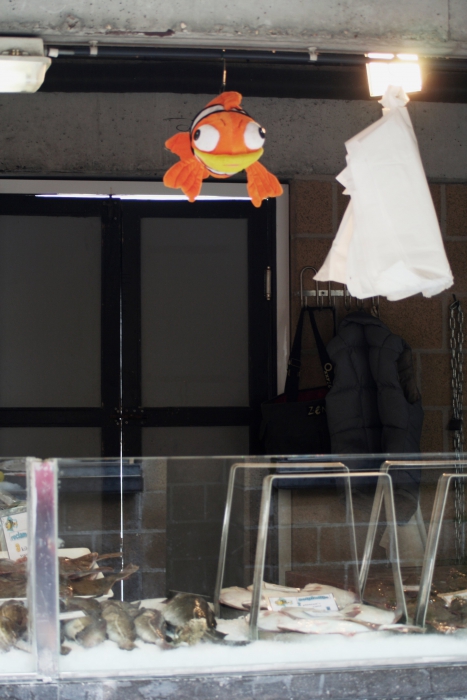 Nemo