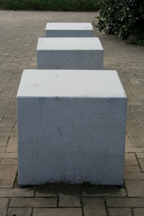 Zitjes Zitjes