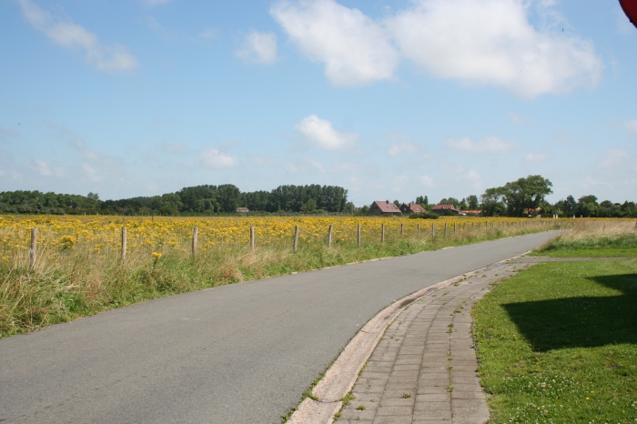 Polderlandschap Polderlandschap