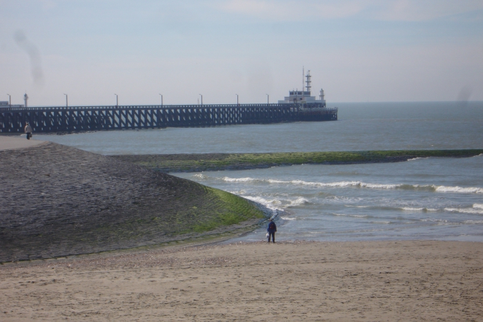 Ooststaketsel