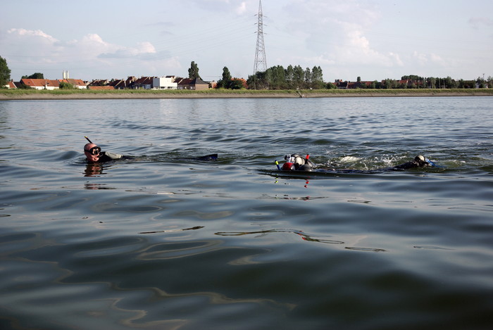 Duikers op de spuikom Duikers op de spuikom