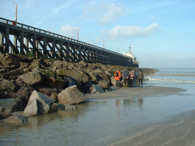 groep5 groep5