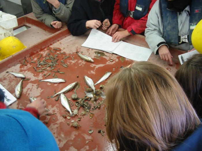 analysing species sample