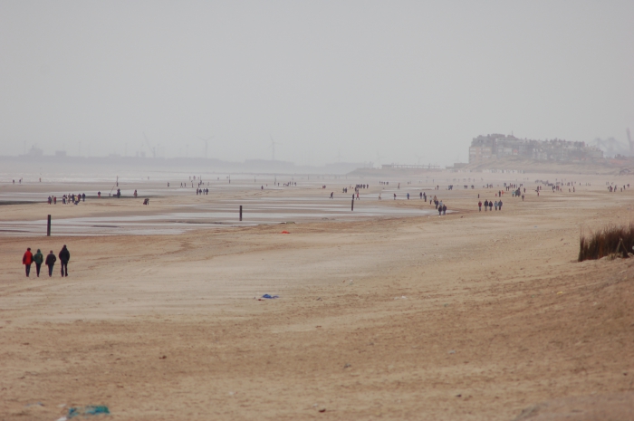 Cultuurstrand