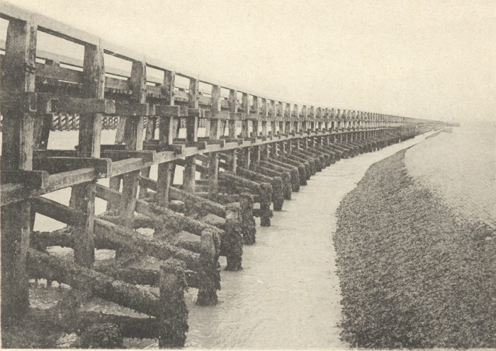 Massart (1908, foto 001)