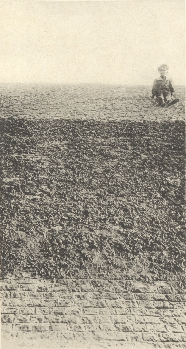 Massart (1908, foto 002)