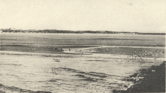 Massart (1908, foto 005)