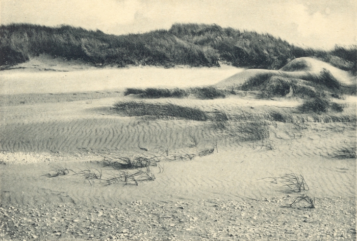 Massart (1908, foto 010)