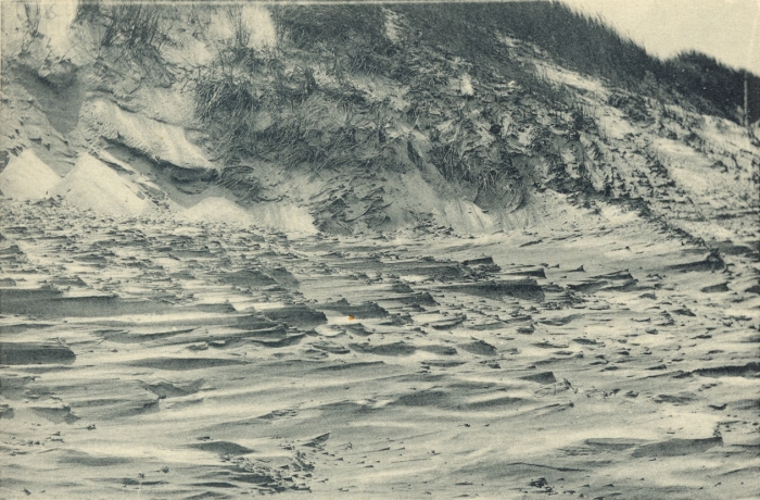 Massart (1908, foto 016)