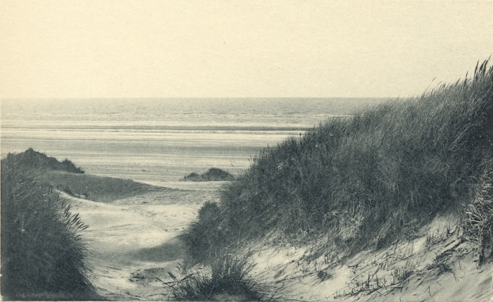 Massart (1908, foto 017)
