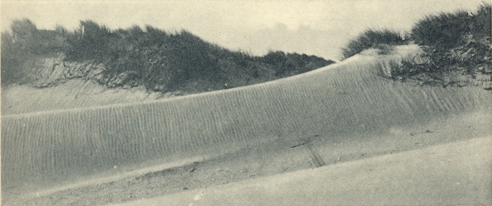 Massart (1908, foto 018)
