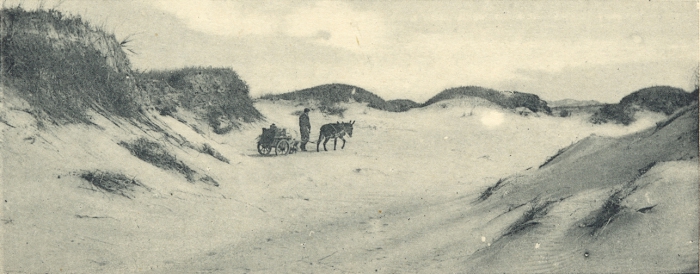 Massart (1908, foto 021)