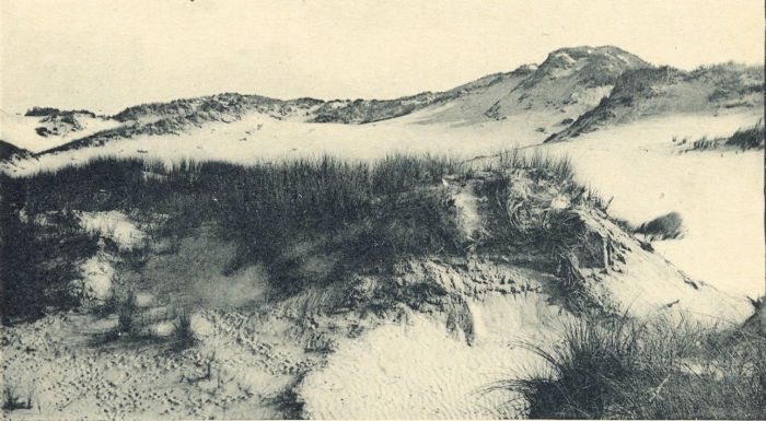 Massart (1908, foto 023)