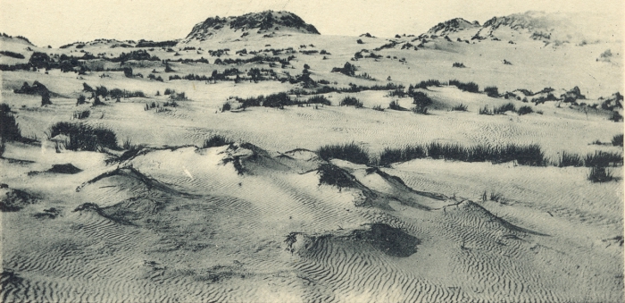 Massart (1908, foto 024)