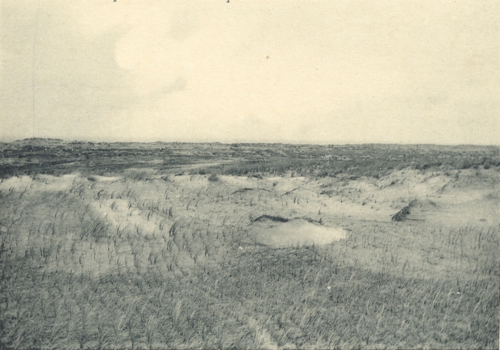 Massart (1908, foto 029)