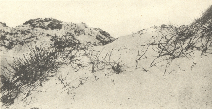 Massart (1908, foto 032)
