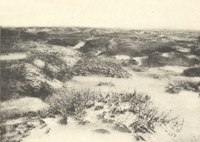 Massart (1908, foto 034)