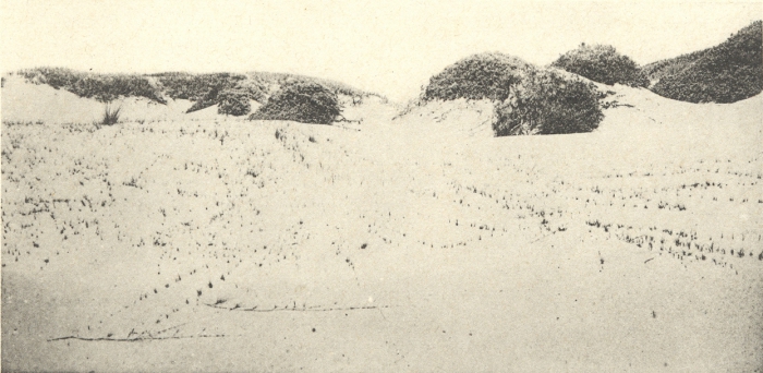 Massart (1908, foto 035)