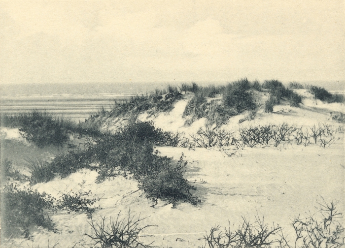 Massart (1908, foto 037)