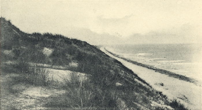 Massart (1908, foto 066)