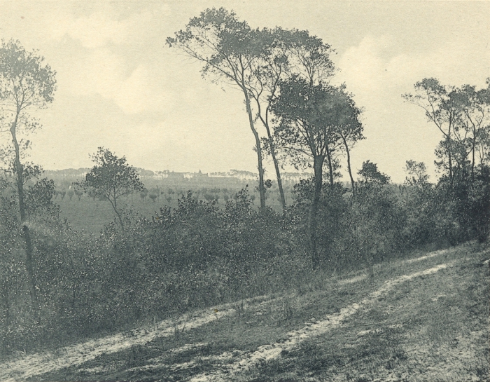 Massart (1908, foto 083)