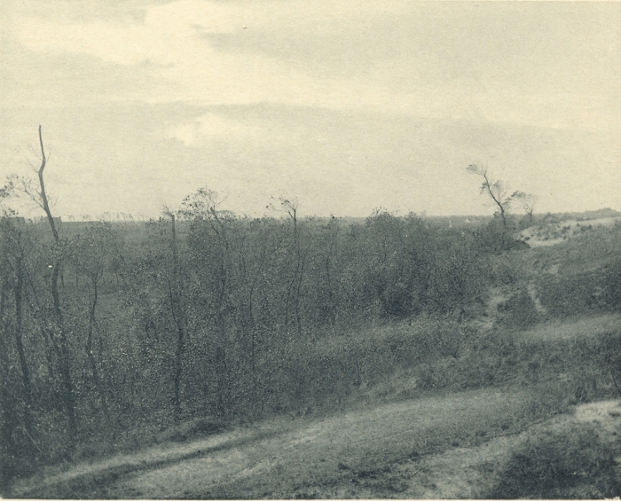 Massart (1908, foto 084)