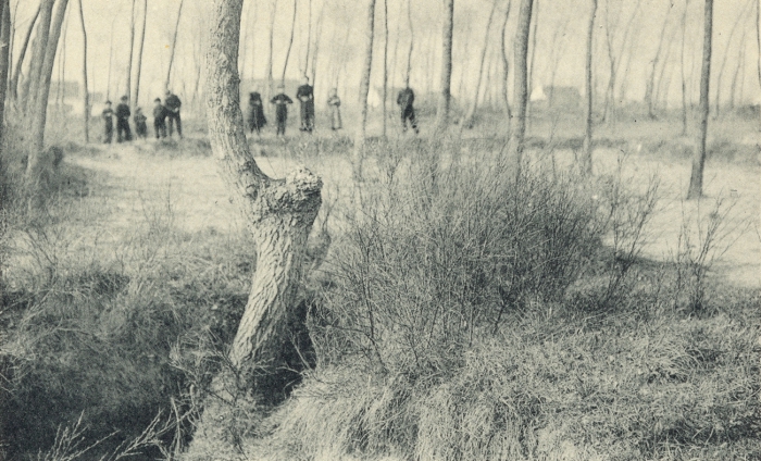 Massart (1908, foto 175)