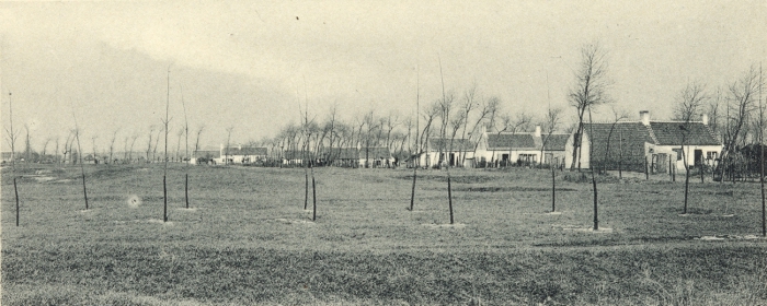 Massart (1908, foto 179)