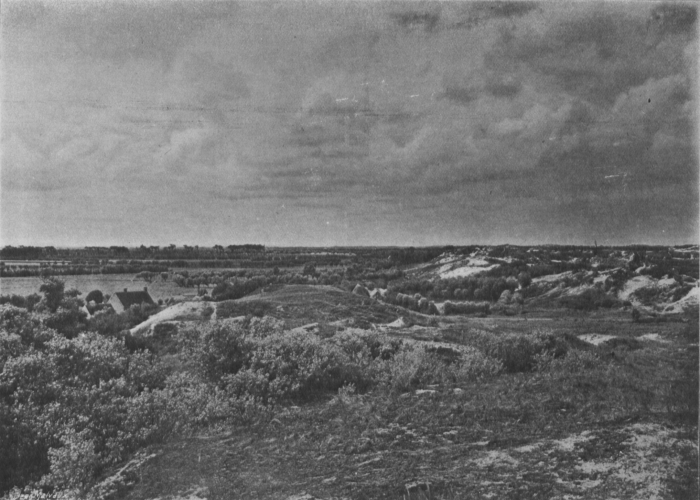 Massart (1913, foto 14)