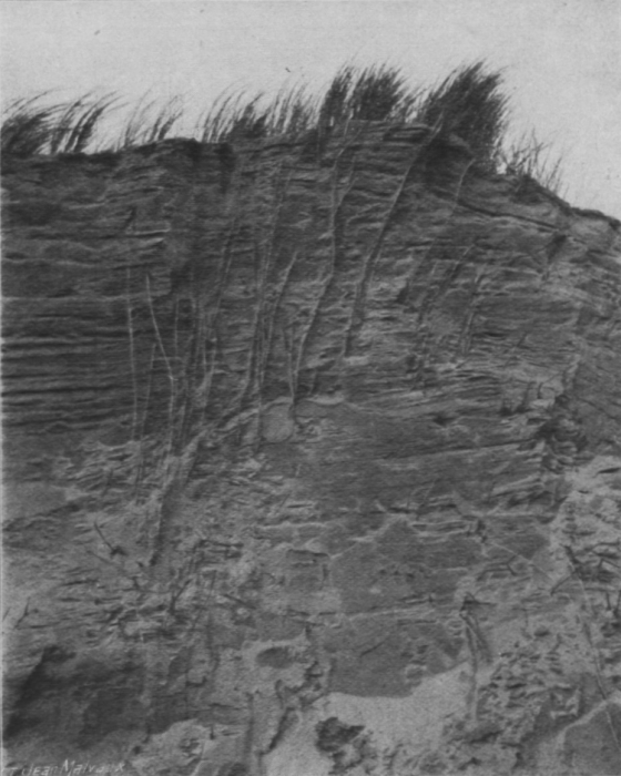 Massart (1913, foto 24)