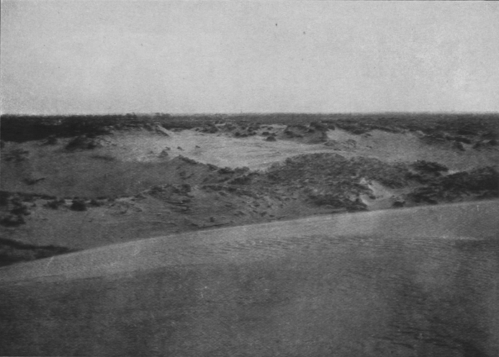 Massart (1913, foto 31)