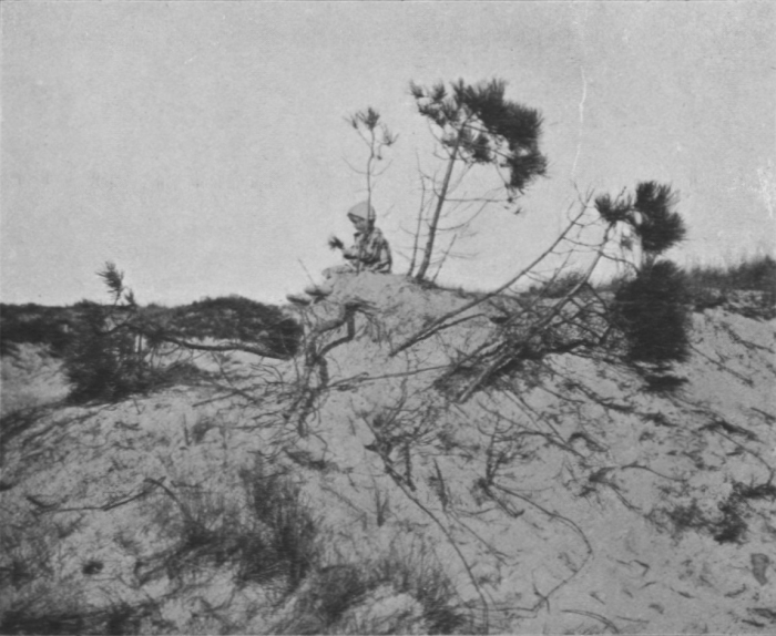 Massart (1913, foto 38)