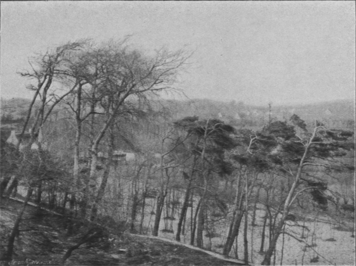 Massart (1913, foto 39)