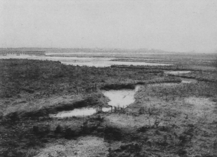 Wery (1908, foto 5)