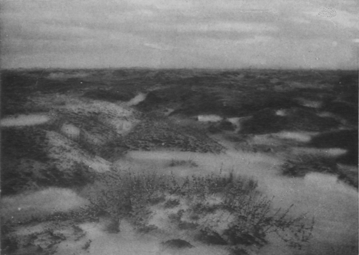 Wery (1908, foto 22)