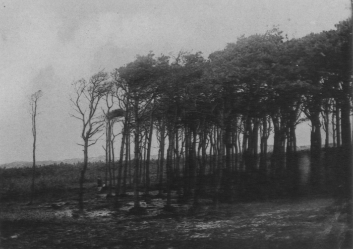 Wery (1908, foto 43)