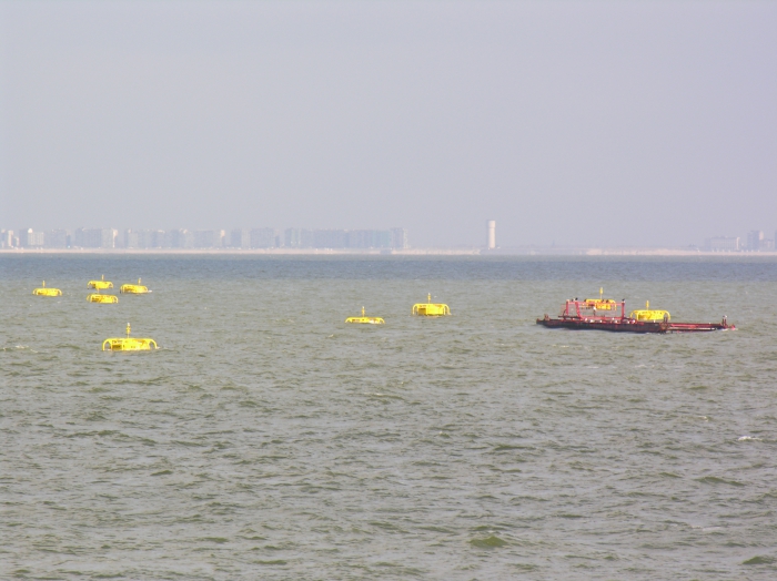 Belgische mosselkweek