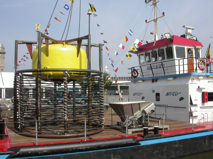 Mosselkooi