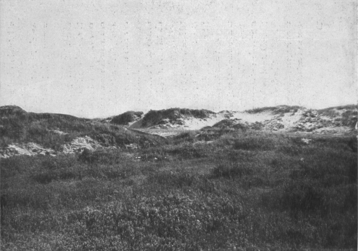 de Spot (1942, foto 11)