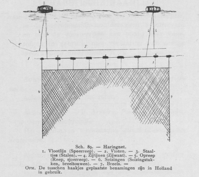 Bly (1902, fig. 89)