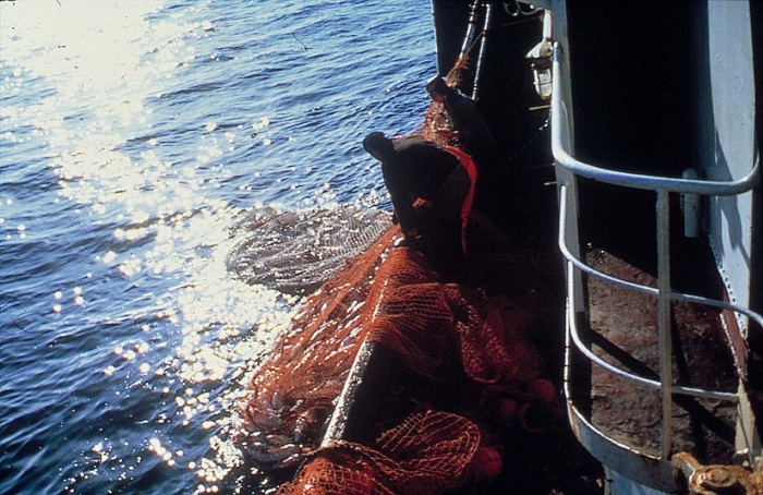 Binnenhalen net Binnenhalen net