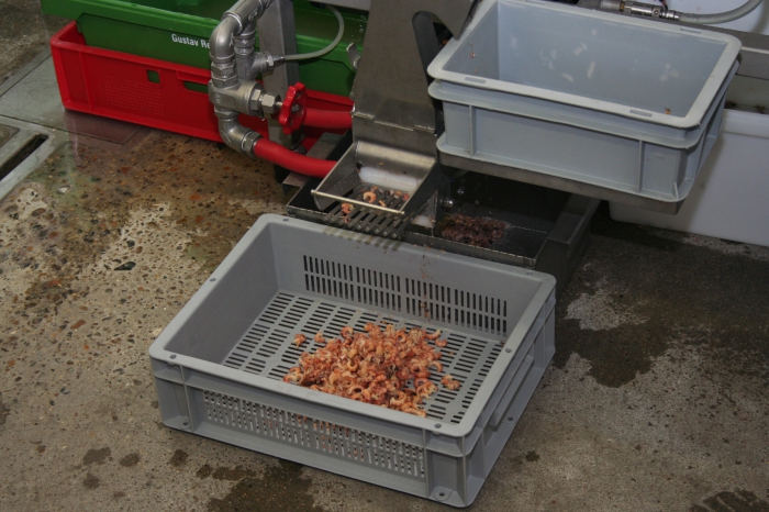 Garnaalpelmachine