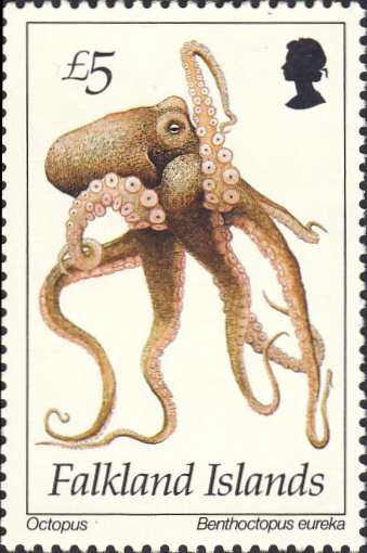 Benthoctopus eureka