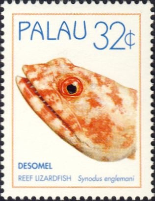 Synodus englemani