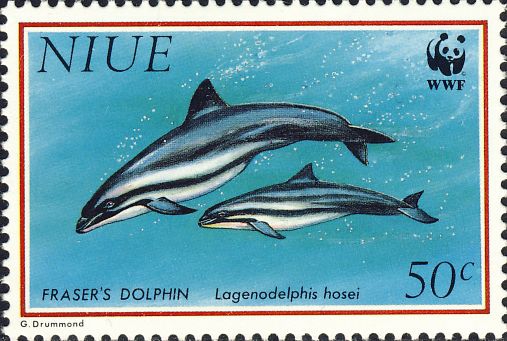 Lagenodelphis hosei