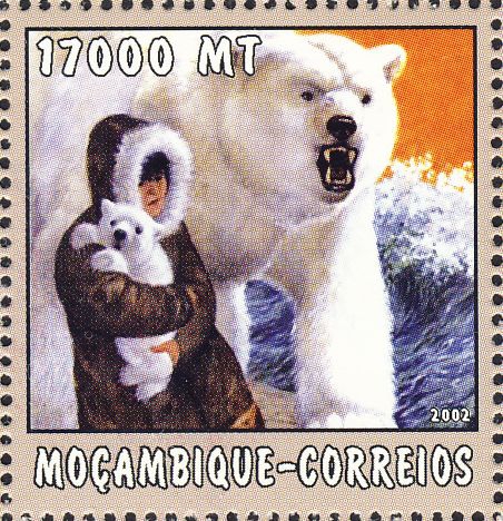 Ursus maritimus